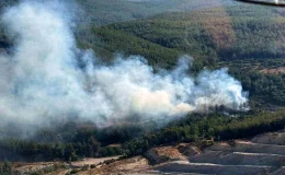 Muğla’da Orman Yangını Kontrol Altına Alındı