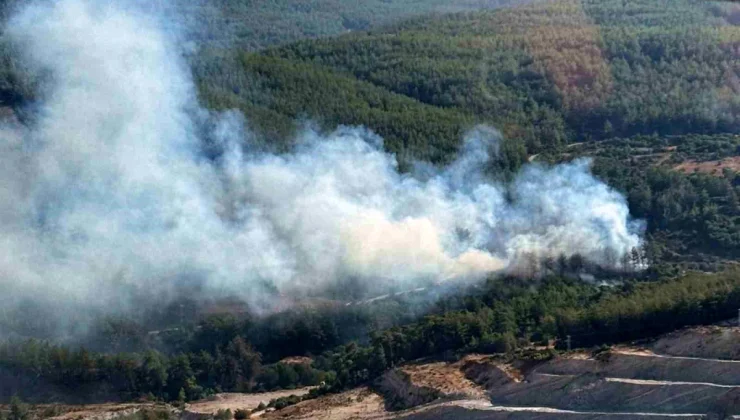 Muğla’da Orman Yangını Kontrol Altına Alındı