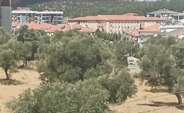 Muğla Milas’ta Makilikte Yangın Çıktı