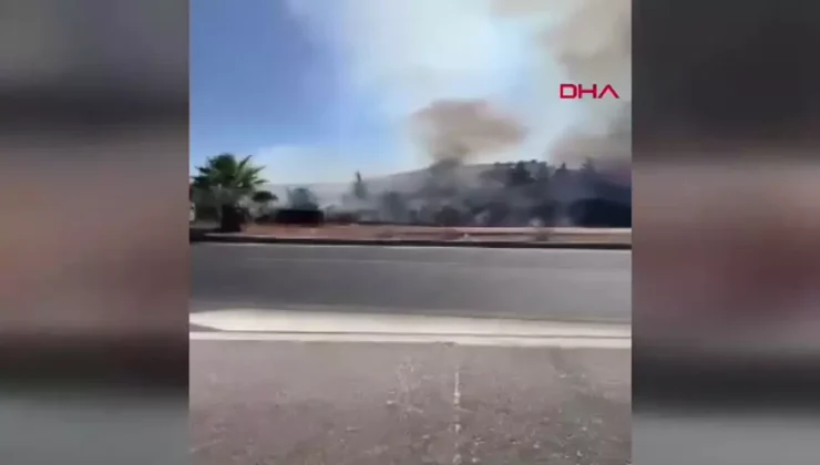 Muğla’da Makilik Yangını Ormana Sıçradı