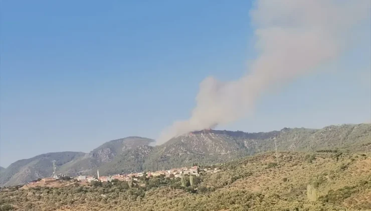 Muğla’nın Milas ilçesinde orman yangını çıktı