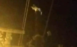 Muğla’da Mahsur Kalan Kedi için İtfaiye Ekipleri Seferber Oldu